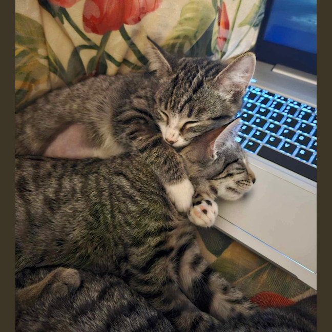 Photo of Truffle & Faun 