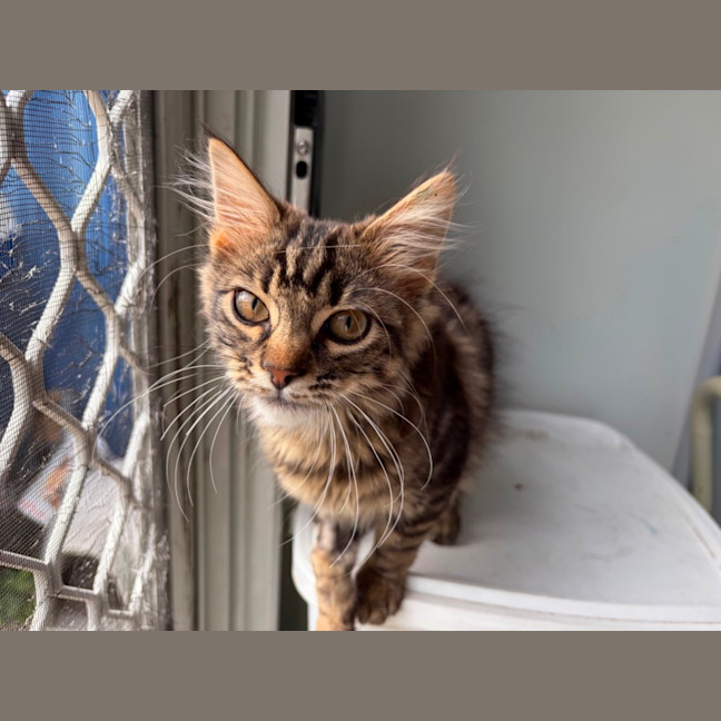 Photo of Zada