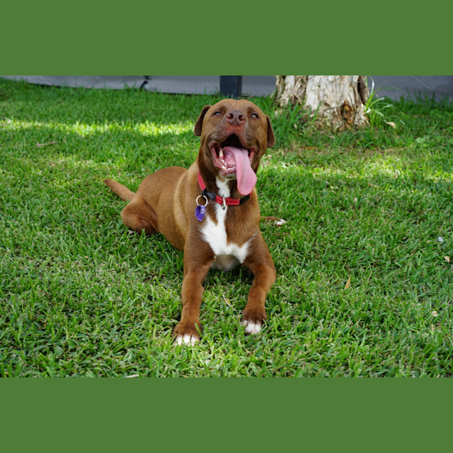 Photo of Wally