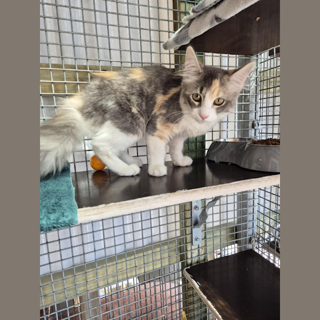 Photo of Ella! ❤️