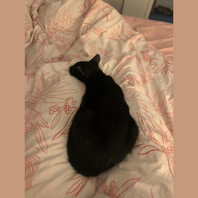 Photo of Jonah