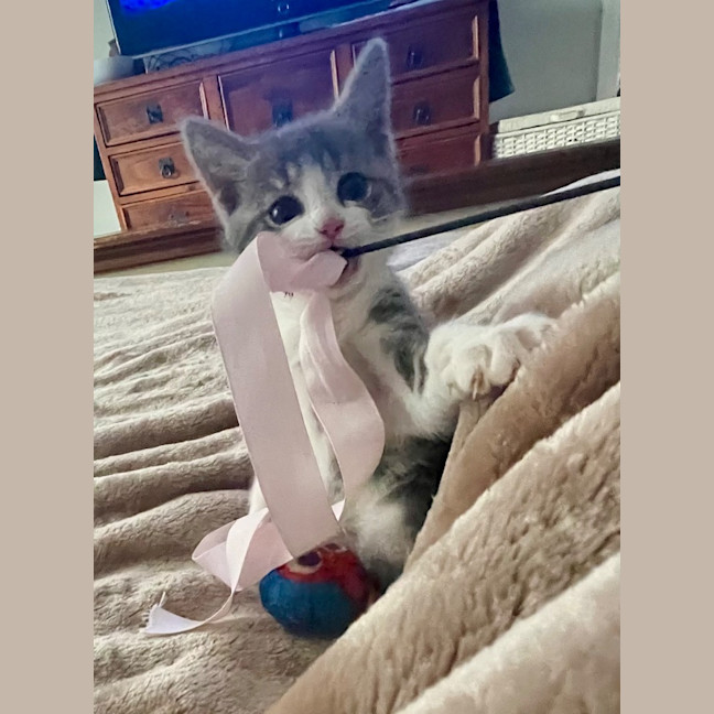 Photo of Minnie Mimi