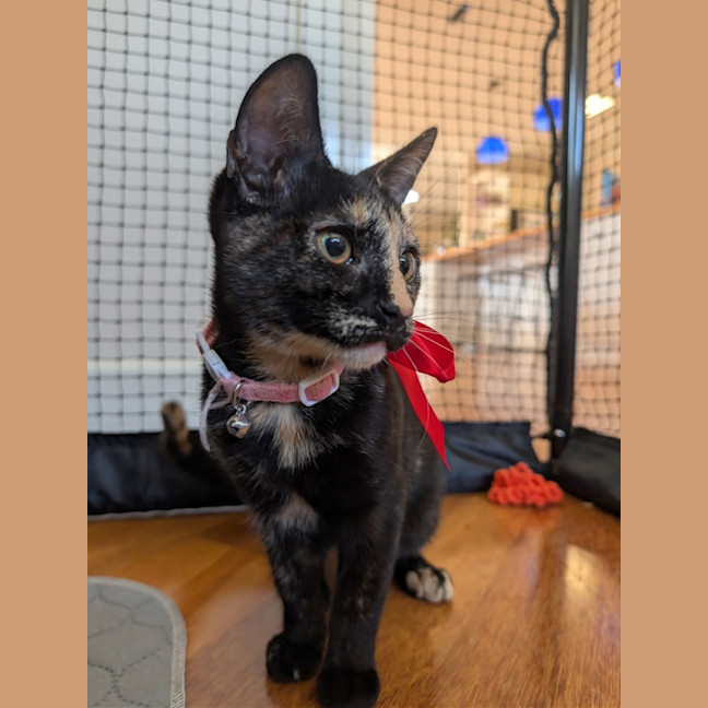 Photo of Bertie And Ocean