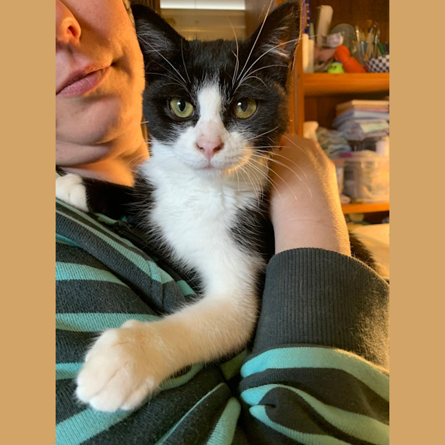 Photo of Maggie