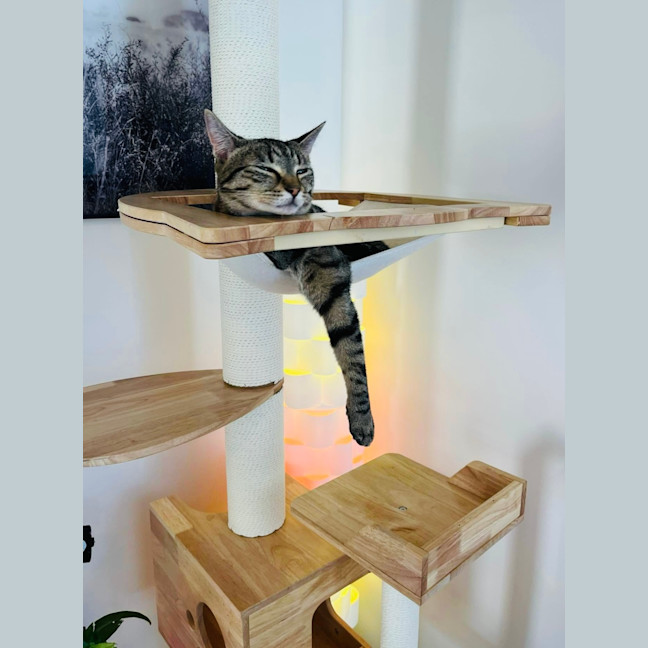 Photo of Ferris & Felix