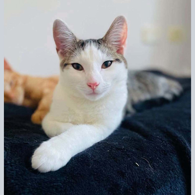 Photo of Murphy