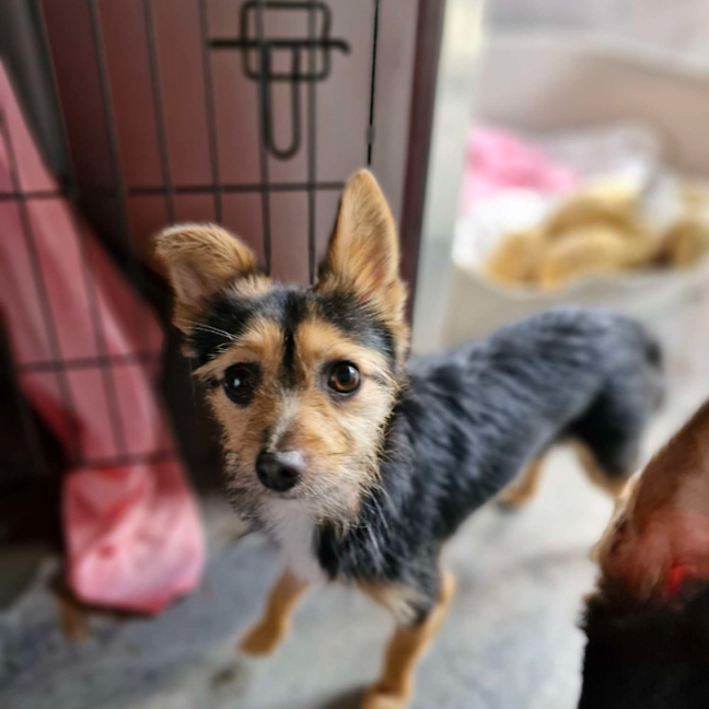 Photo of Dumbledore