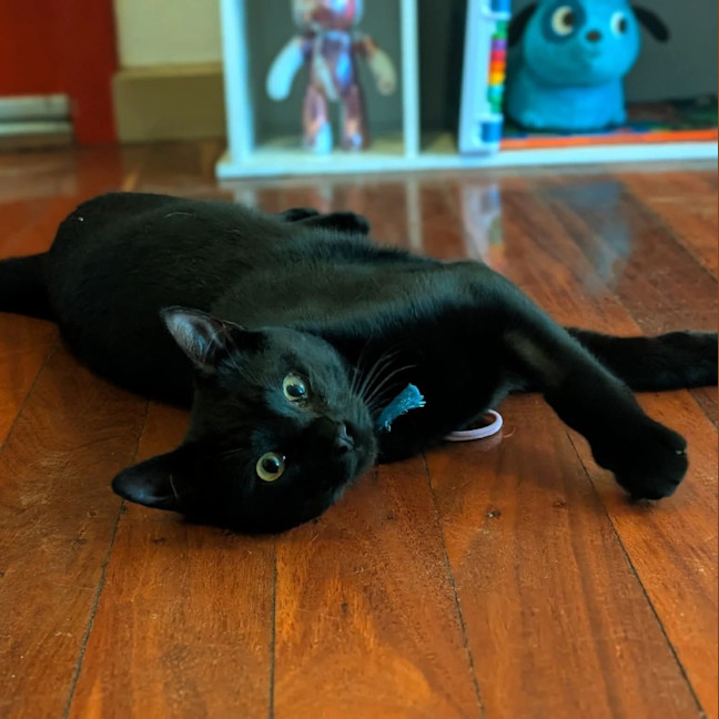 Photo of Uno
