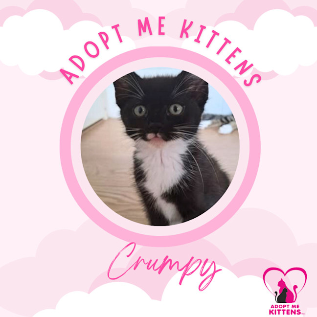 Photo of Crumpy