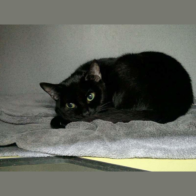 Photo of Maya