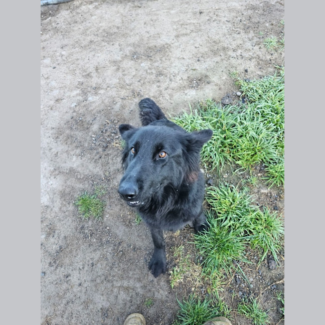 Photo of Lucy
