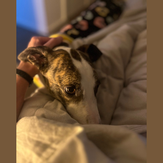 Photo of Betty