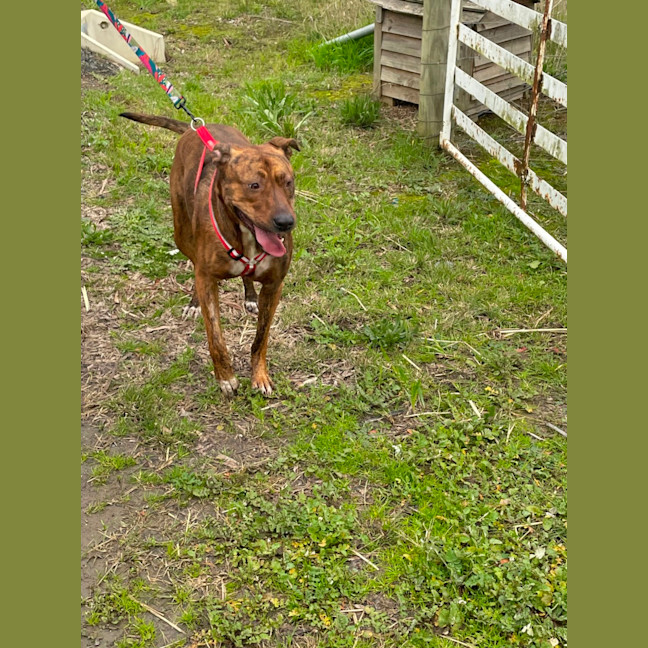 Photo of Winnie