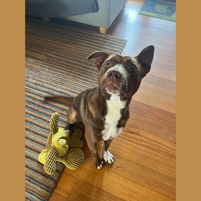 Photo of Lulu