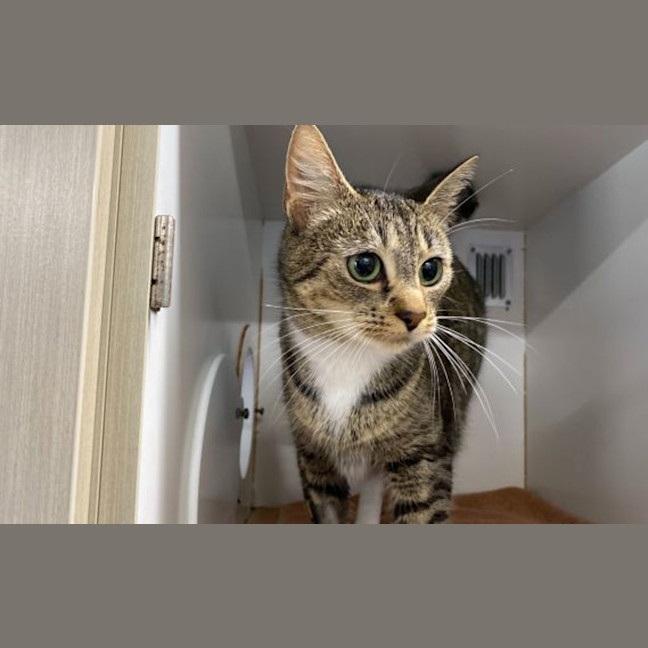 Photo of Daisy