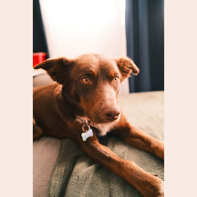 Photo of Tessa