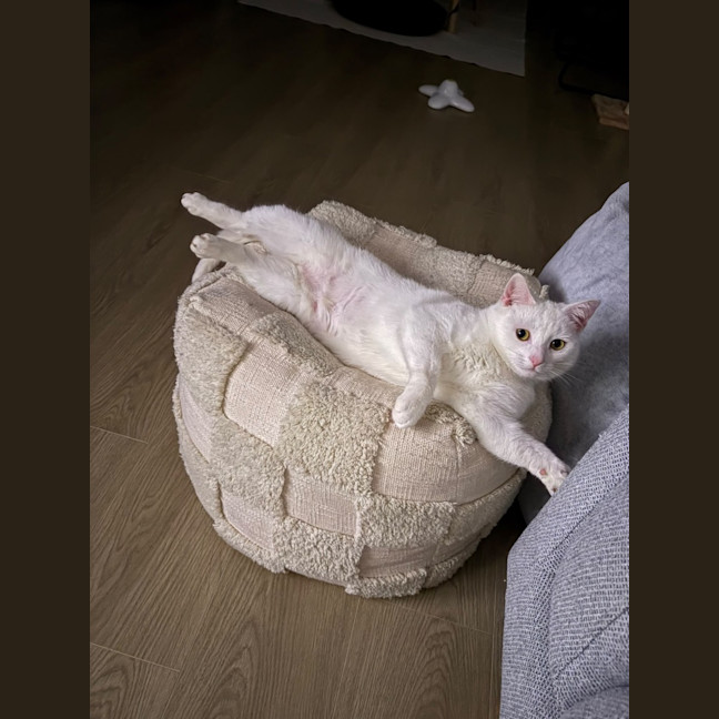 Photo of Yuki
