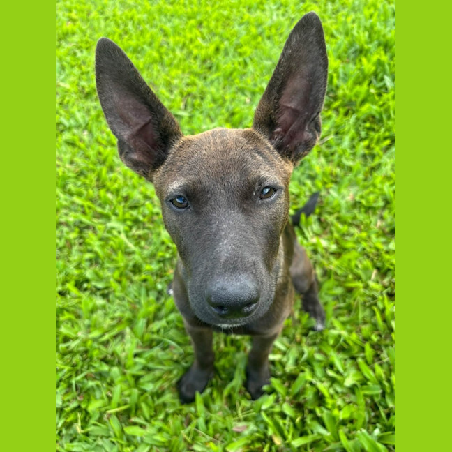 Photo of Lil Olive