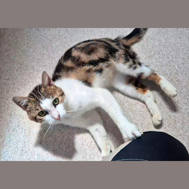 Photo of April (9172)