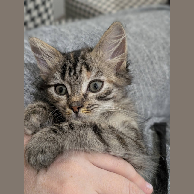 Photo of Moonbeam