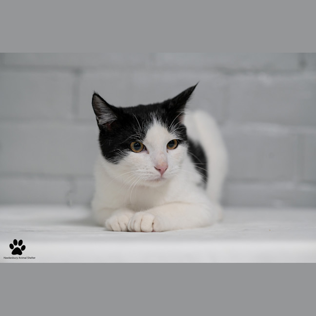 Photo of Max