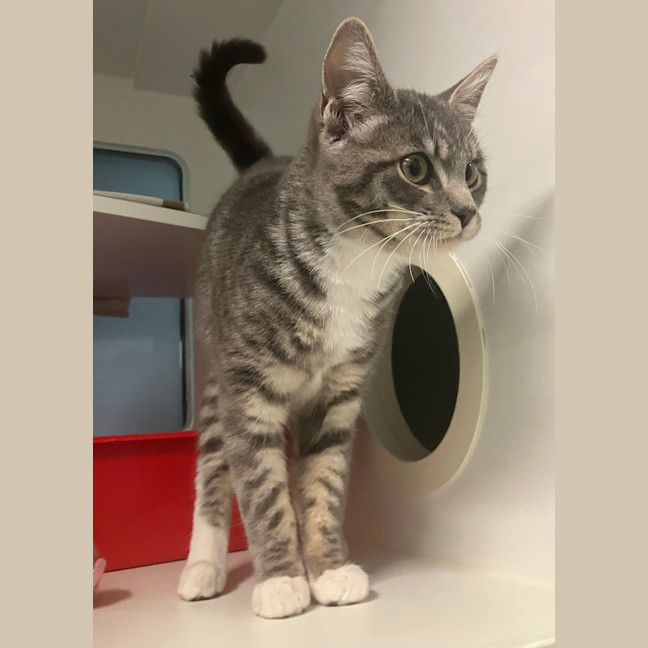 Photo of Penelope 
