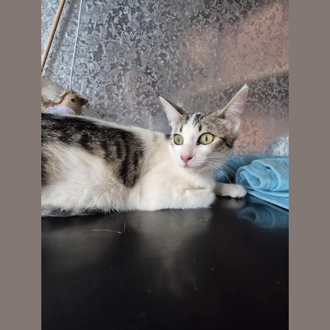 Photo of Whitney! 🌟