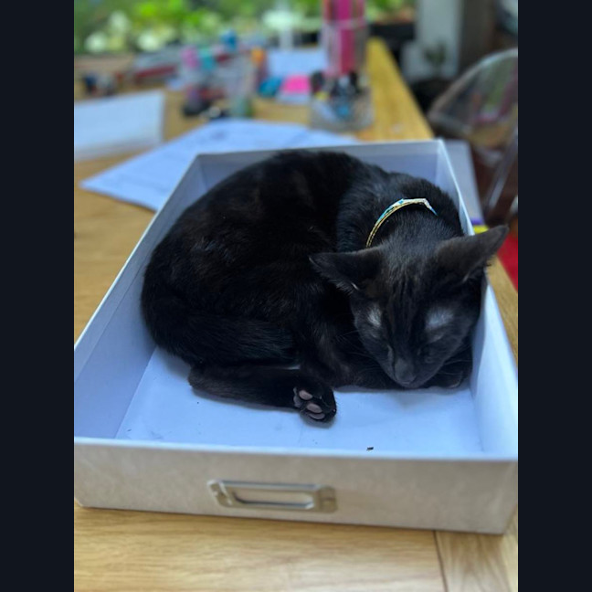 Photo of Java   Located In Surrey Hills