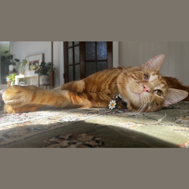 Photo of George