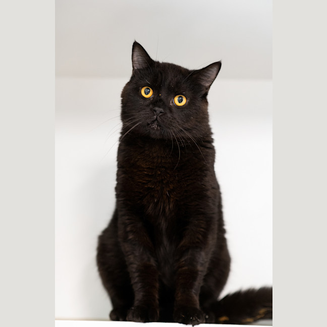 Photo of Moe
