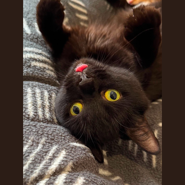 Photo of Mumma Miso