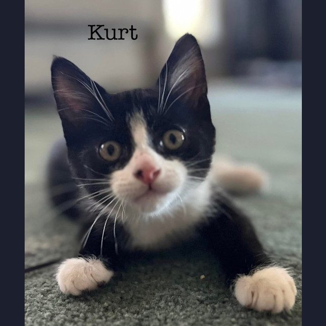 Photo of Kurt