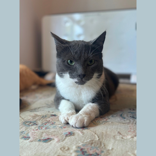 Photo of Christian Grey