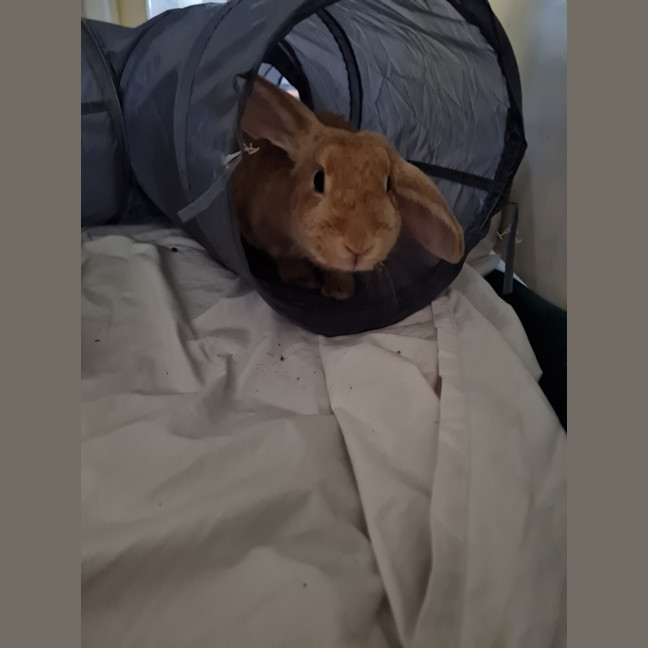 Photo of Yoghurt And Yum Cha