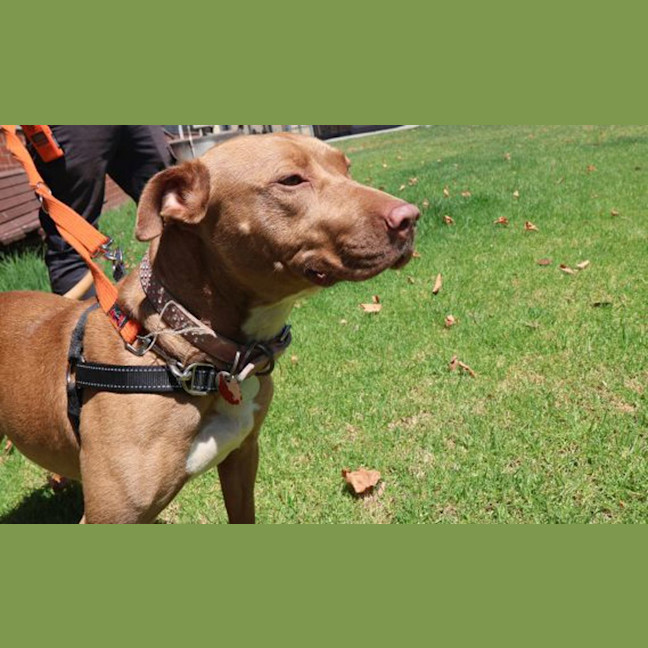 Photo of Sandie