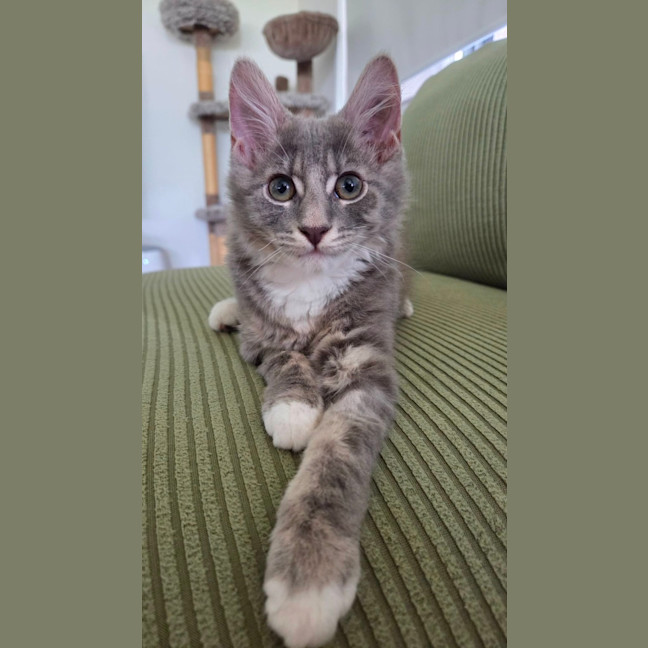 Photo of Jazz