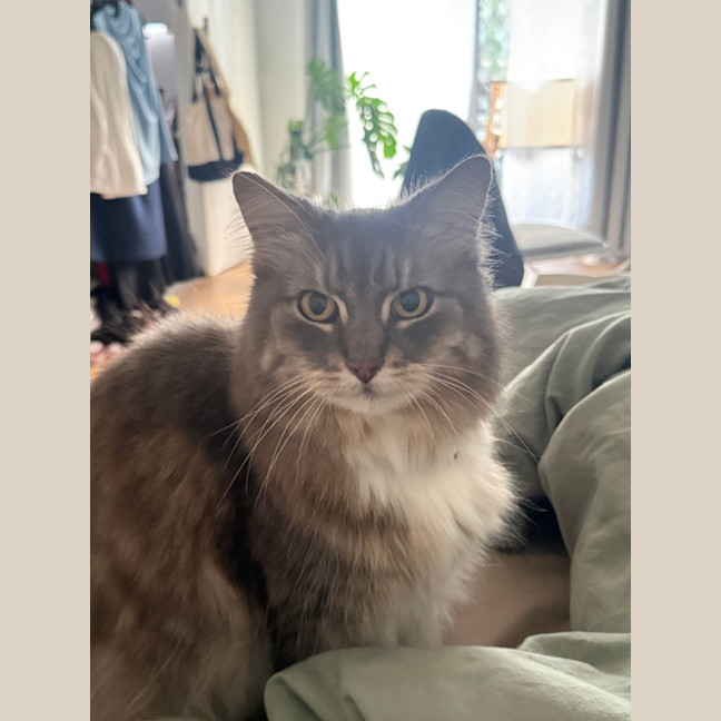 Photo of Smokey