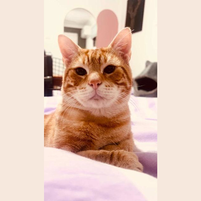 Photo of Hashbrown