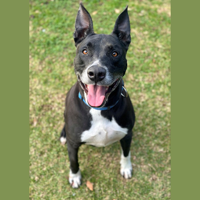 Photo of Winston