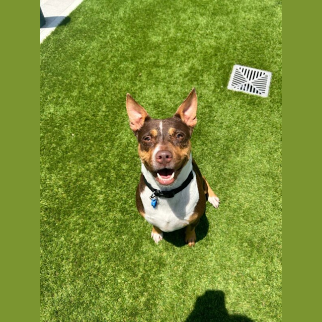 Photo of Lily