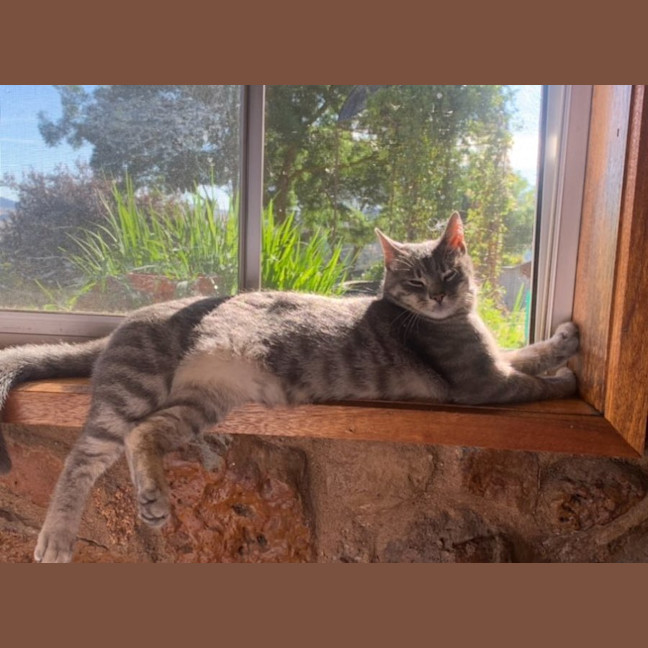 Photo of Adie (Aka Admetus)