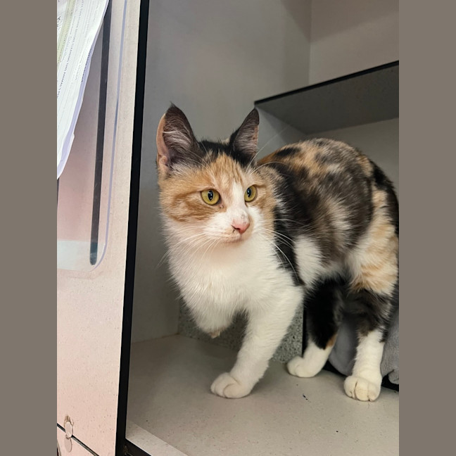 Photo of Dorothy