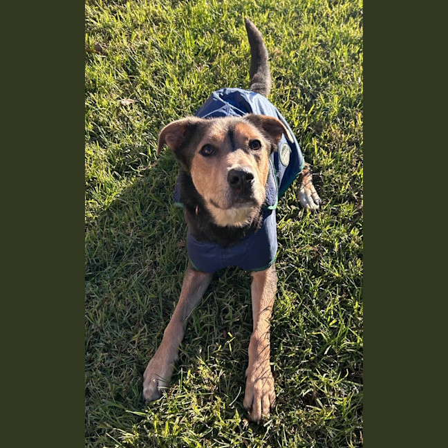 Photo of Charlie