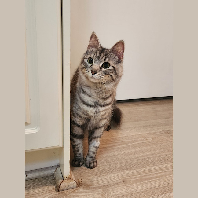 Photo of Sylvia