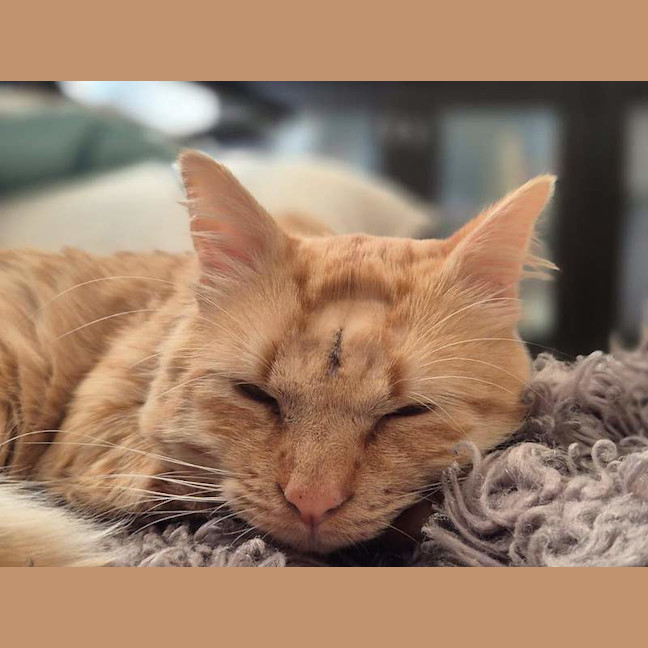 Photo of Rudy