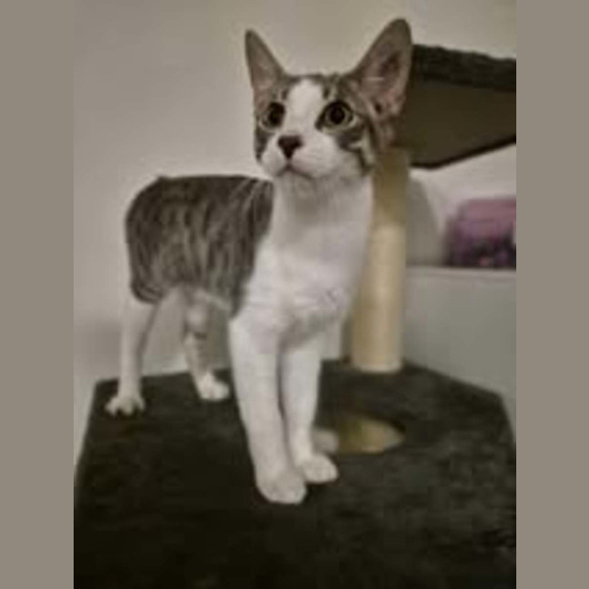 Photo of Gretel