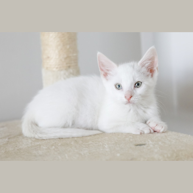 Photo of Lily