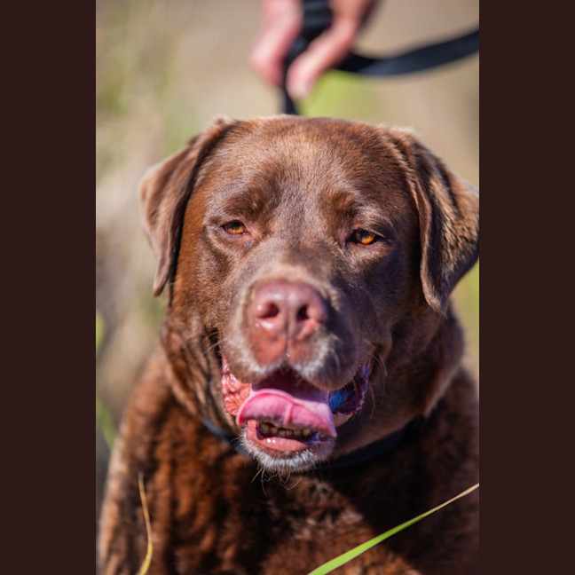 Photo of Leroy