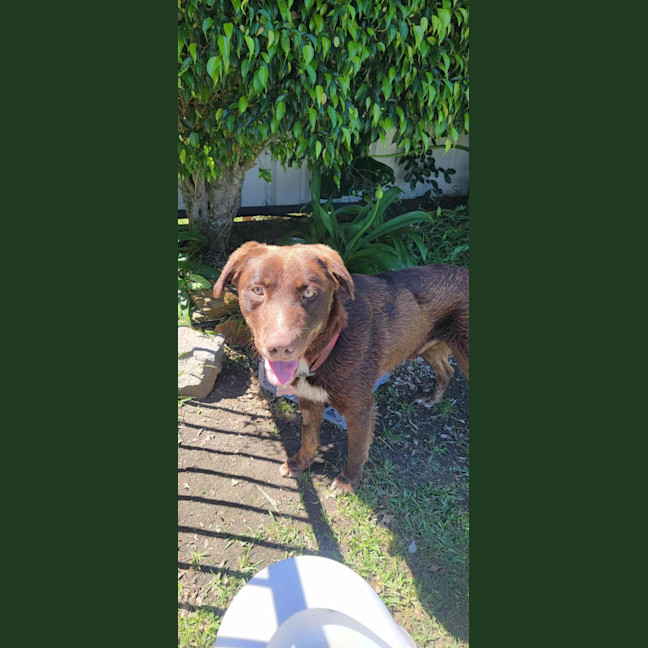 Photo of Ace