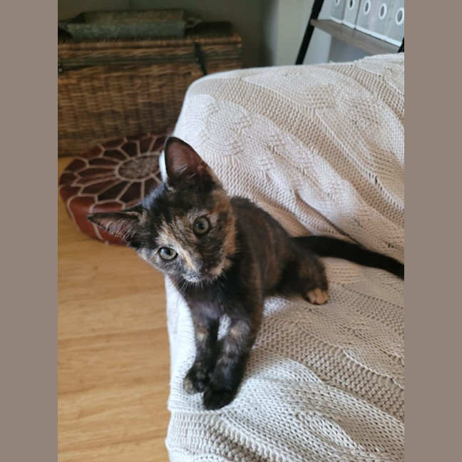 Photo of Ginny